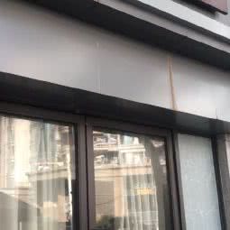 我们的宠物:上海城区静安区北区汽车站附近