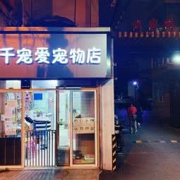 万千宠爱宠物店(谈家桥路店):上海城区静安区北区汽车站附近
