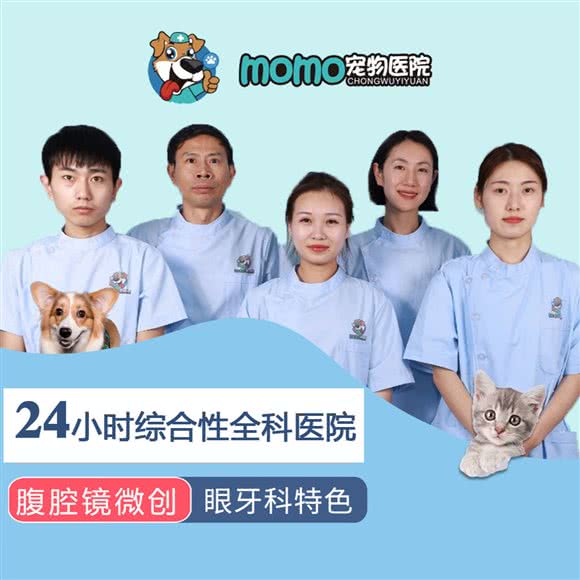 MoMo宠物医院Pets Hospital( 永和店):上海城区静安区彭浦镇附近