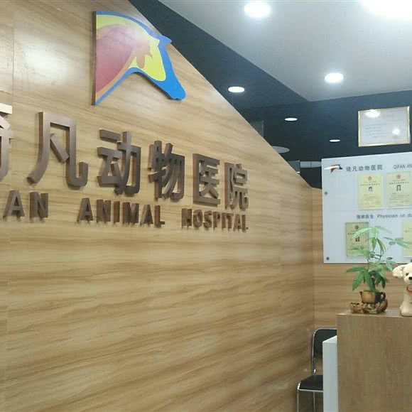 琦凡动物医院·骨科·眼科·犬猫·异宠:上海城区静安区彭浦镇附近