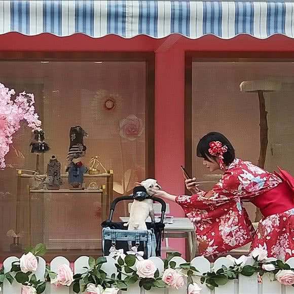 Pocket Pet口袋宠物(澳门路旗舰店):上海城区普陀区长寿路附近