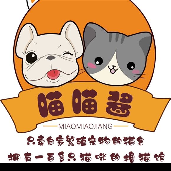 喵喵酱撸猫馆·猫舍·法斗吧(亚新广场综合店):上海城区普陀区长寿路附近