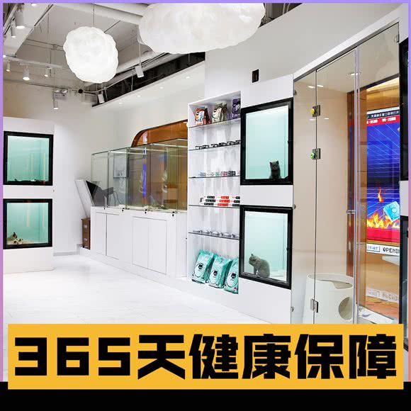 喵物多多猫舍(星方汇广场店):上海城区普陀区长寿路附近