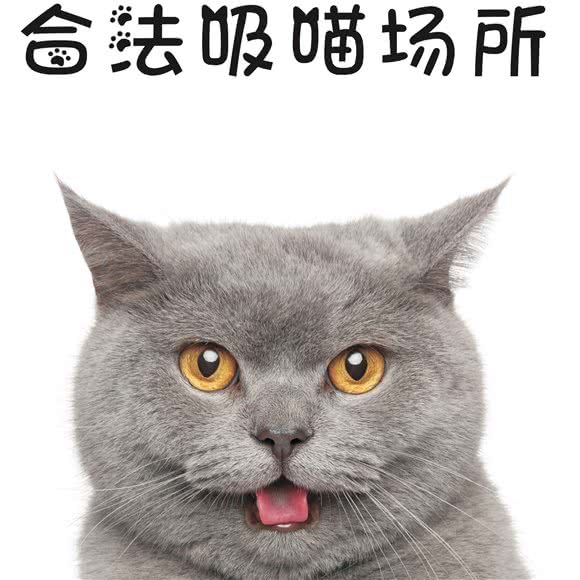 撸Ta·宠Ta·撸猫馆(环球港店):上海城区普陀区月星环球港附近