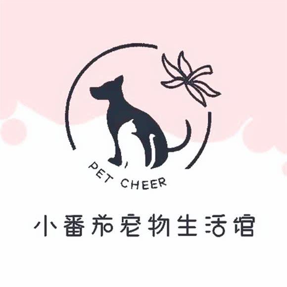 小番茄宠物生活馆 pet cheer(石泉东路店):上海城区普陀区中山北路/甘泉地区附近