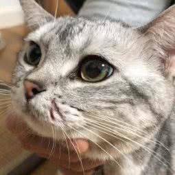 汪汪星萌:北京城区海淀区五道口附近