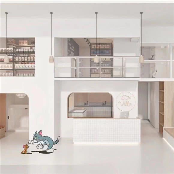 这里是家宠物店(石泉店):上海城区普陀区中山北路/甘泉地区附近