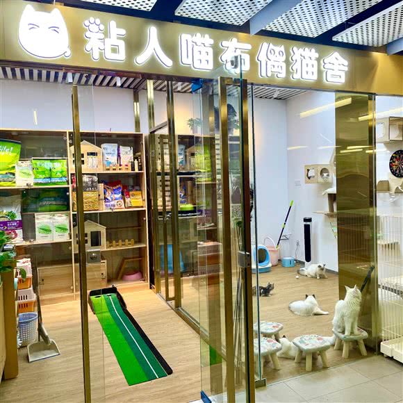 粘人喵布偶猫舍(学知轩店):北京城区海淀区五道口附近