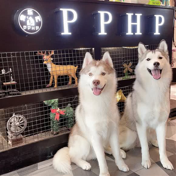 HAZAN·哈赞宠乐汇:上海城区普陀区大华地区附近