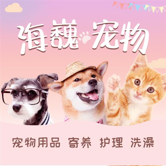 海巍宠物乐园:北京城区海淀区远大路附近