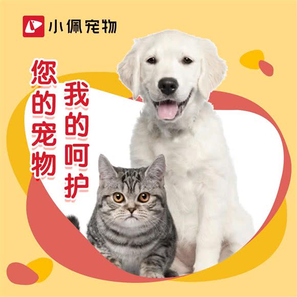 PETKIT小佩宠物(世纪城店):北京城区海淀区远大路附近