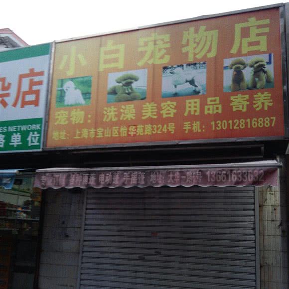 小白宠物店:上海城区普陀区大华地区附近