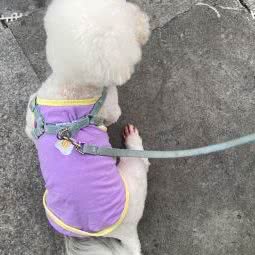 伊宠宠物生活:上海城区普陀区大华地区附近