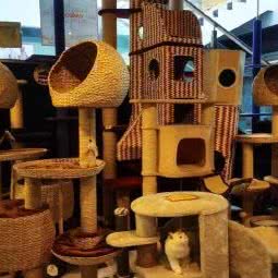 百瑞宠物公园:上海城区普陀区大华地区附近