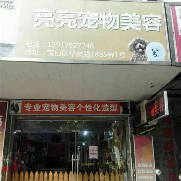 小琳宠物店面:上海城区普陀区大华地区附近