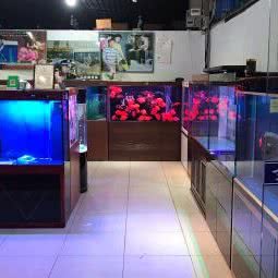 可丽爱:北京城区海淀区远大路附近