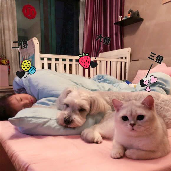 MyMiao-美喵轩:上海城区普陀区大华地区附近