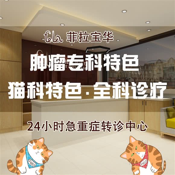 菲拉宝华宠物医院·24h急重症转诊中心·心脏彩超·猫科动物特色:上海城区普陀区大华地区附近