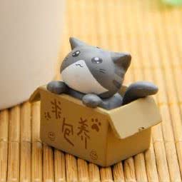 3W宠物领养中心:北京城区海淀区远大路附近