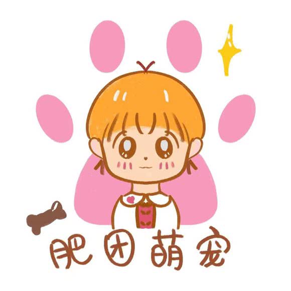 肥团萌宠:上海城区普陀区长风公园/华师大附近