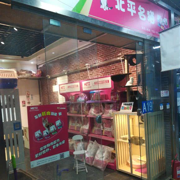 北平名猫:北京城区海淀区远大路附近