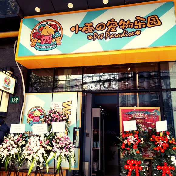 小雨の宠物乐园:上海城区普陀区曹杨地区附近