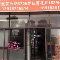 雅致宠物用品美容店:上海城区普陀区曹杨地区附近