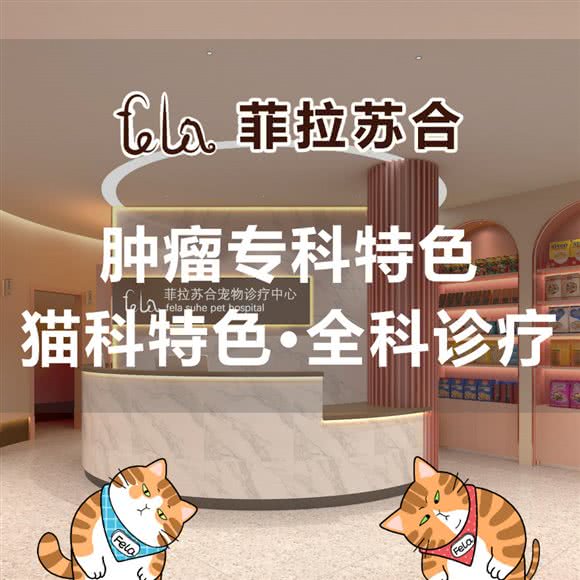 菲拉苏合宠物医院:上海城区普陀区曹杨地区附近