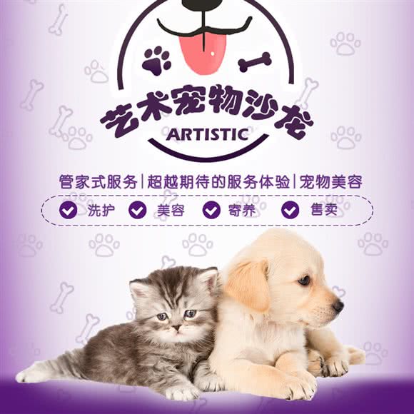 Artistic艺术宠物沙龙:上海城区普陀区真如附近