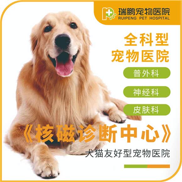 瑞鹏宠物医院(四平路店):上海城区虹口区临平路/和平公园附近