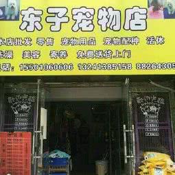 东子宠物店(玉海园店):北京城区海淀区五棵松附近