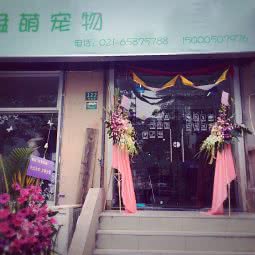 卷尾巴萌宠馆:上海城区虹口区虹口足球场/鲁迅公园附近