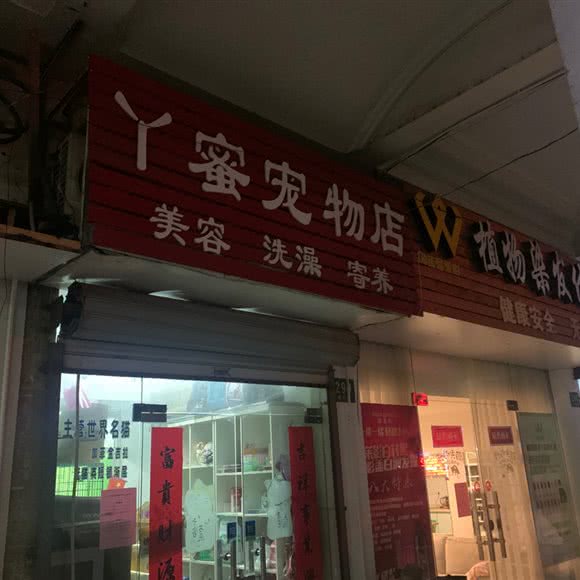 Y蜜宠物店:上海城区虹口区虹口足球场/鲁迅公园附近