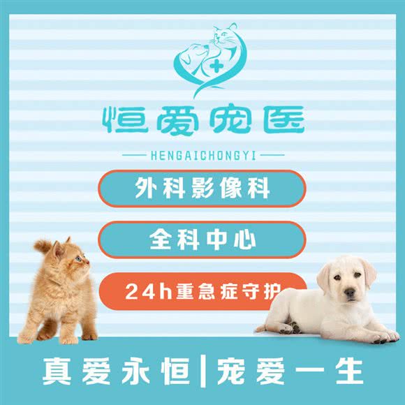 恒爱宠医(宝山路店):上海城区虹口区虹口足球场/鲁迅公园附近