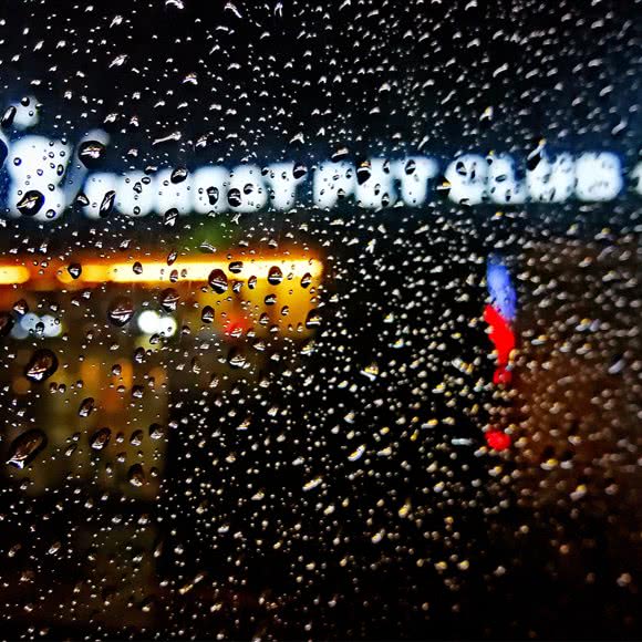 森林爱宠宠物俱乐部Forest Pet Club:上海城区虹口区曲阳地区附近