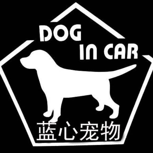 蓝心名宠?名猫名犬活体售卖?高端宠物繁育基地(五棵松店):北京城区海淀区五棵松附近