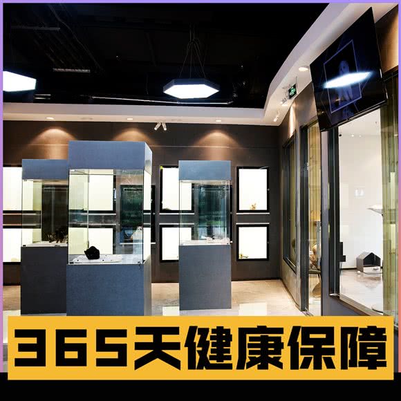 喵物多多猫舍:上海城区虹口区北外滩/外白渡桥附近