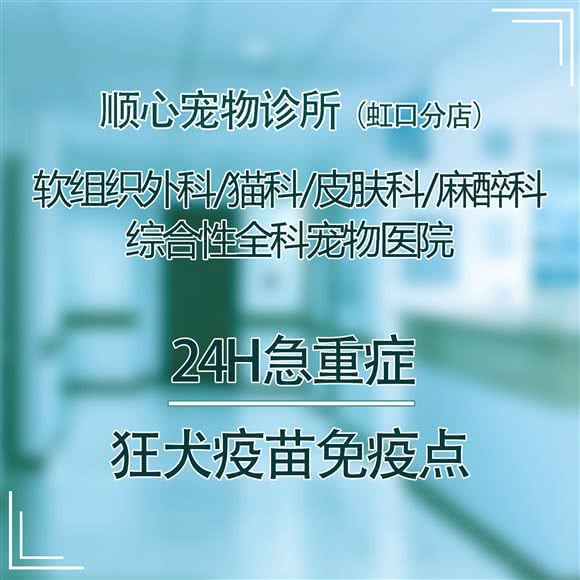 顺心宠物诊所(东汉阳路店):上海城区虹口区北外滩/外白渡桥附近