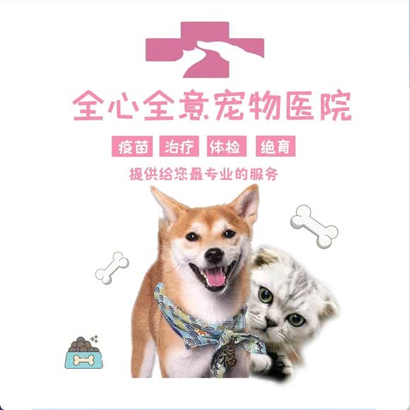 全心全意连锁动物医院(24h五棵松分院):北京城区海淀区五棵松附近