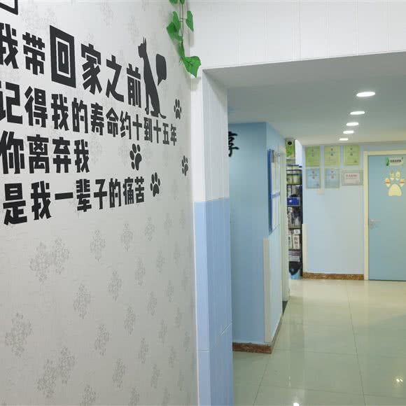 新世纪动物医院:北京城区海淀区五棵松附近