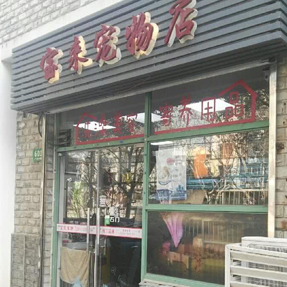 宝来宠物店(广灵四路店):上海城区虹口区凉城/江湾镇附近