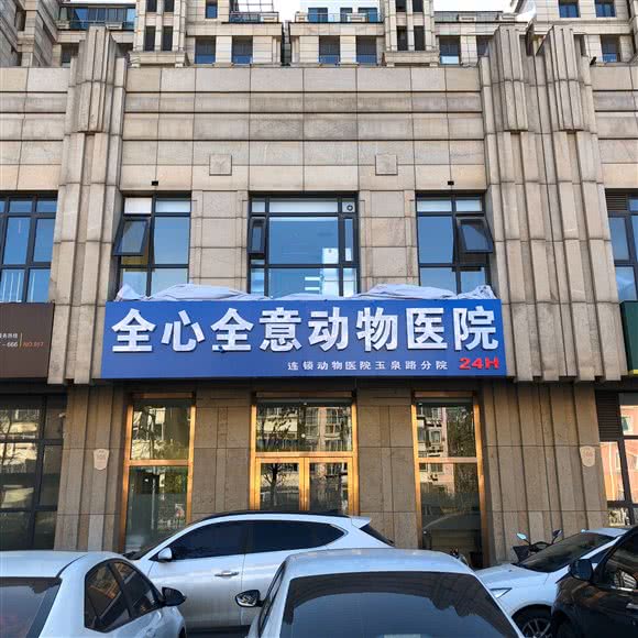 全心全意连锁动物医院(玉泉路店):北京城区海淀区五棵松附近