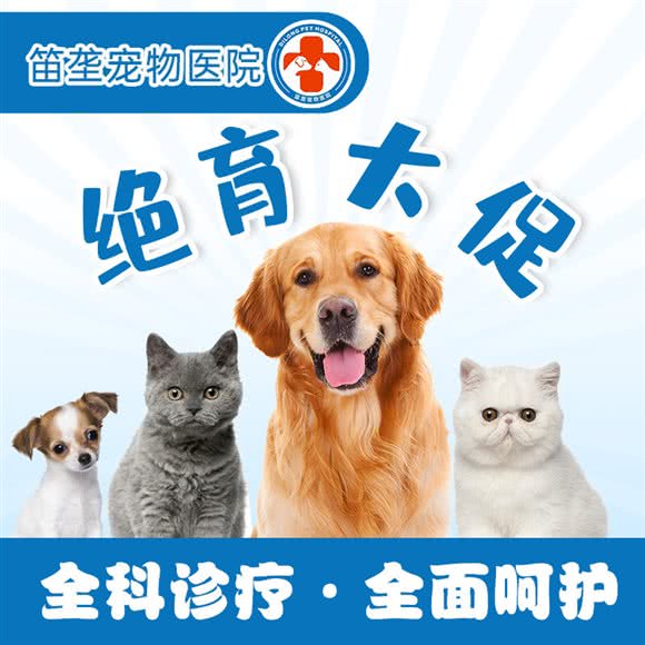 笛垄宠物医院:上海城区虹口区凉城/江湾镇附近