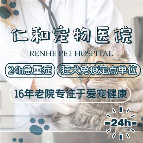 仁和宠物医院·24H(车站南路店):上海城区虹口区凉城/江湾镇附近