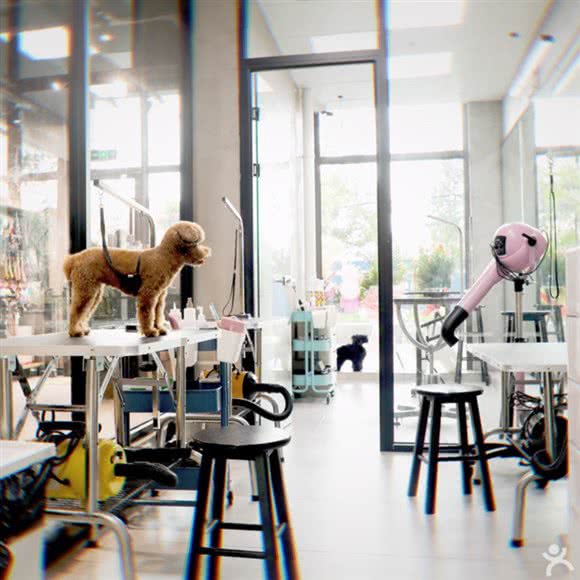 Big Boss私宠(海宁路店):上海城区虹口区海宁路/七浦路附近