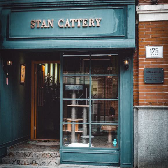 STAN CATTERY精选猫舍:上海城区虹口区海宁路/七浦路附近