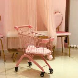 月亮去的宠物店:上海城区虹口区大连路地铁站附近