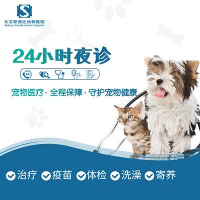 北京斯诺比动物医院:北京城区海淀区五棵松附近