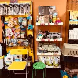 恶霸宠物沙龙:上海城区杨浦区五角场/大学区附近