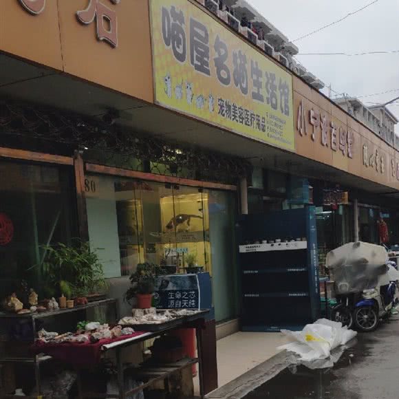 喵屋名猫生活馆:上海城区杨浦区五角场/大学区附近